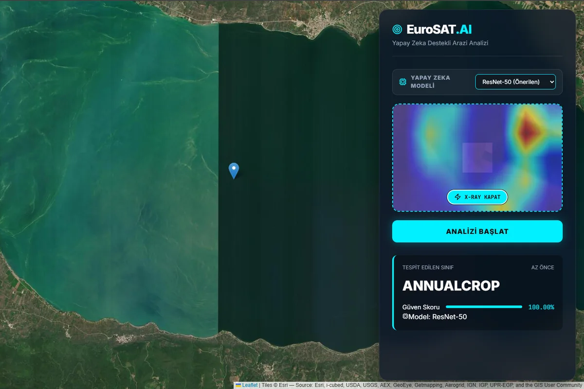 Uydu haritası, AnnualCrop tahmini ve Grad-CAM ısı haritasını gösteren EuroSAT.AI arayüzü.