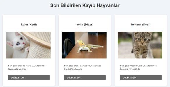 PetFinder ana sayfasında fotoğraf, son görülme bilgisi ve detay bağlantısıyla listelenen hayvan ilanları.